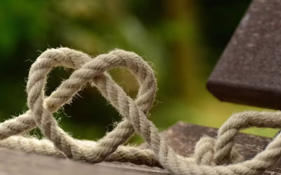 Loneliness and connectivity in these times